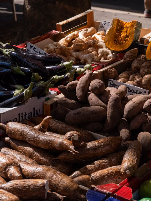 Cesta de Frutas Selecionadas